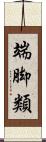 端脚類 Scroll