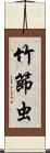 竹節虫 Scroll