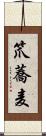 笊蕎麦 Scroll