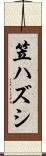 笠ハズシ Scroll