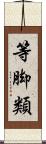 等脚類 Scroll