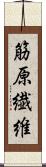 筋原繊維 Scroll