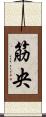 筋央 Scroll
