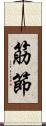 筋節 Scroll
