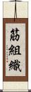 筋組織 Scroll