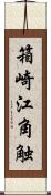 箱崎江角触 Scroll