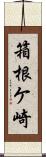 箱根ケ崎 Scroll