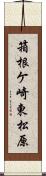 箱根ケ崎東松原 Scroll