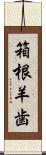 箱根羊歯 Scroll