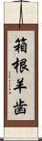 箱根羊歯 Scroll