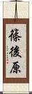 篠後原 Scroll
