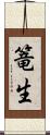 篭生 Scroll