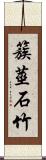 簇莖石竹 Scroll