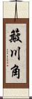 簸川角 Scroll