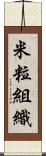 米粒組織 Scroll