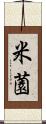 米薗 Scroll