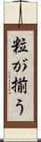 粒が揃う Scroll