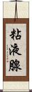 粘液腺 Scroll