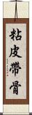 粘皮帶骨 Scroll