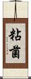 粘菌 Scroll