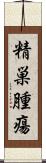 精巣腫瘍 Scroll