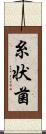 糸状菌 Scroll