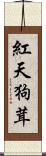 紅天狗茸 Scroll