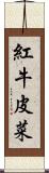 紅牛皮菜 Scroll