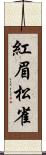 紅眉松雀 Scroll