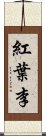 紅葉李 Scroll