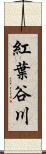 紅葉谷川 Scroll