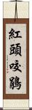 紅頭咬鵑 Scroll