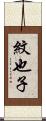 紋也子 Scroll