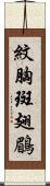 紋胸斑翅鶥 Scroll