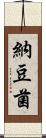 納豆菌 Scroll