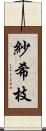 紗希枝 Scroll