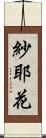 紗耶花 Scroll