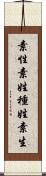 素性 Scroll