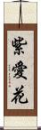 紫愛花 Scroll