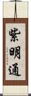 紫明通 Scroll