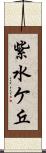 紫水ケ丘 Scroll