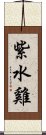 紫水雞 Scroll