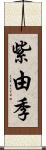 紫由季 Scroll