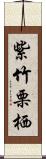 紫竹栗栖 Scroll