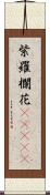 紫羅欄花(ateji) Scroll