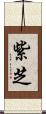 紫芝 Scroll
