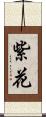 紫花 Scroll
