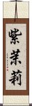 紫茉莉 Scroll