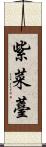 紫菜薹 Scroll