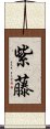 紫藤 Scroll